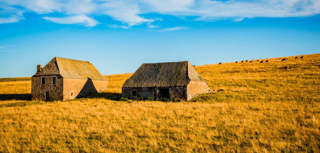 Explorez nos fermettes en vente