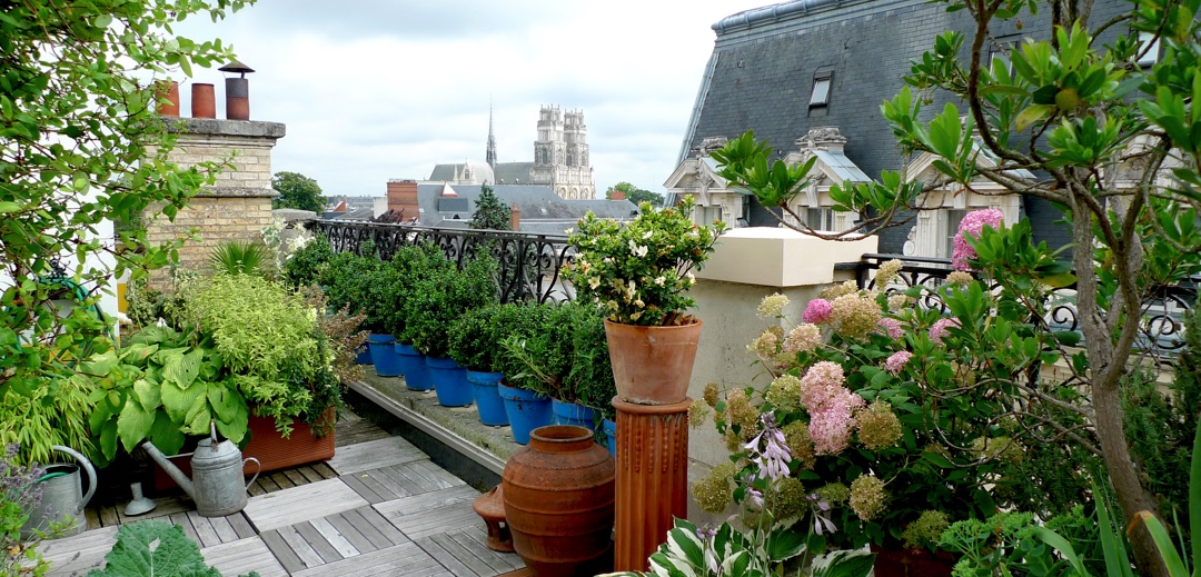 Nos plus beaux appartements avec terrasse à la vente